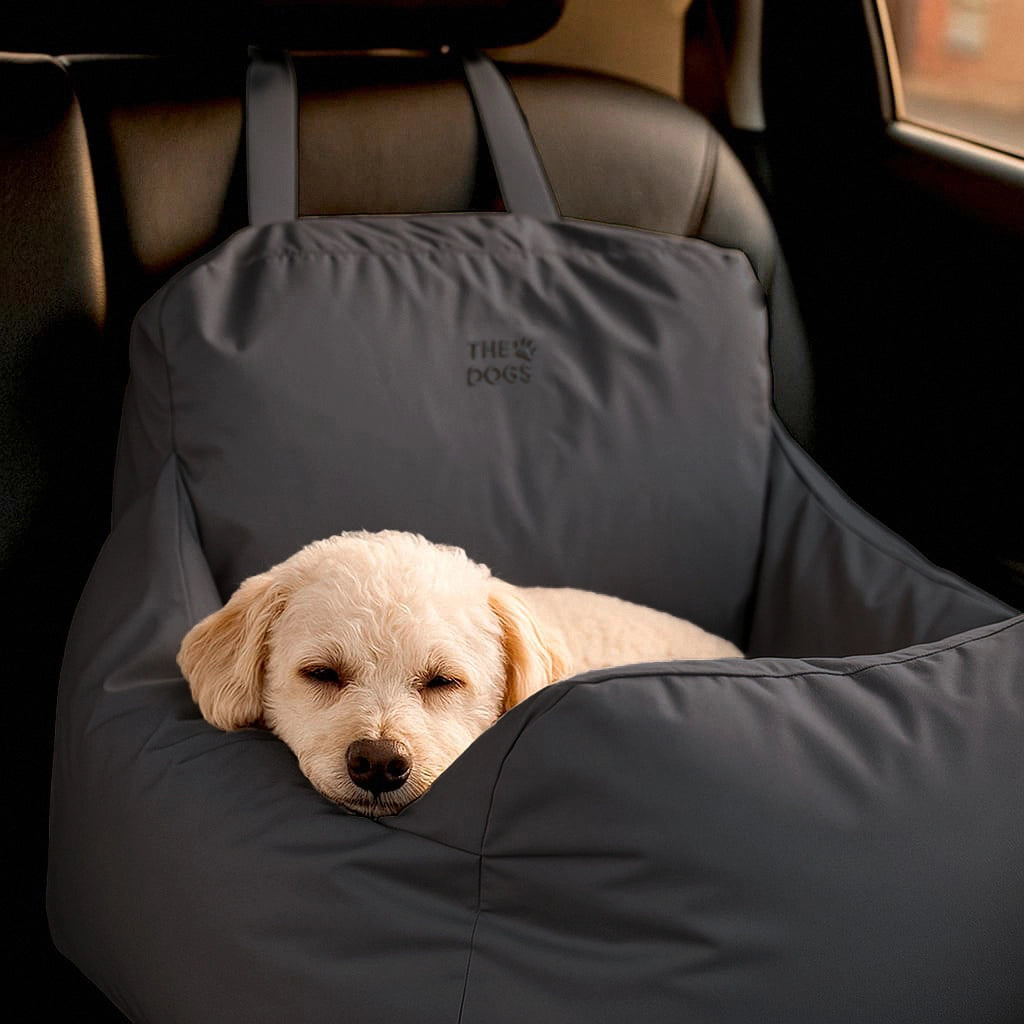 Asiento Primera Clase THE DOGS — Viajes seguros y cómodos