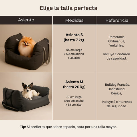 Asiento Primera Clase THE DOGS — Viajes seguros y cómodos