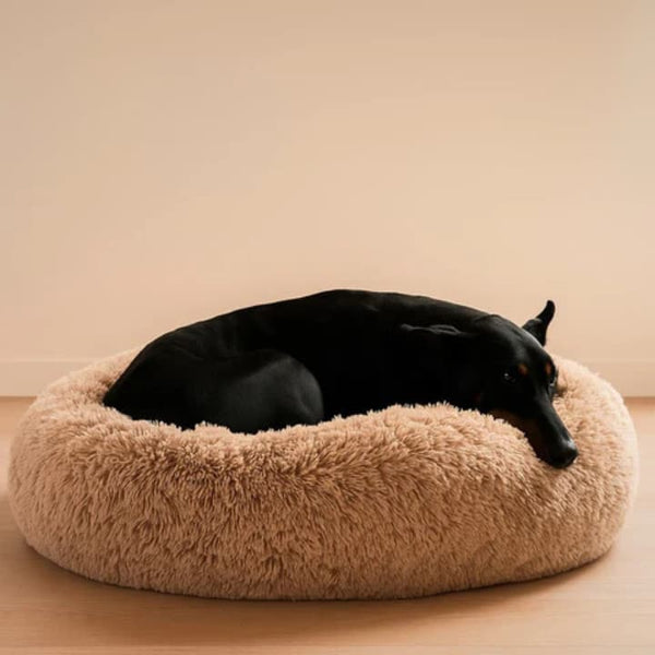 Cama Anti-Estrés THE DOGS — Menos ansiedad, más descanso