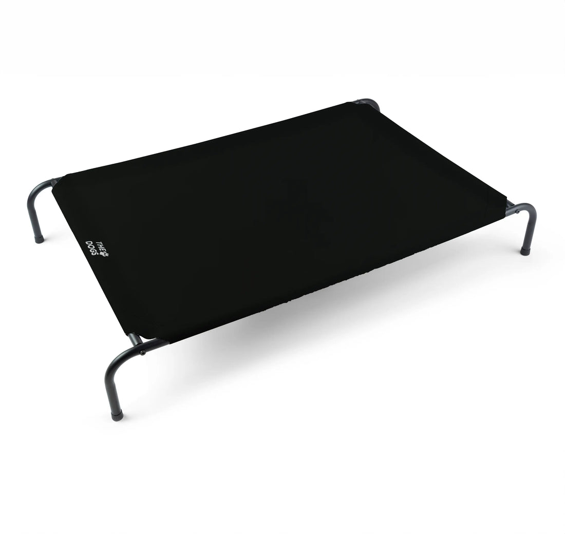 Cama Elevada THE DOGS: Frescura y Ventilación