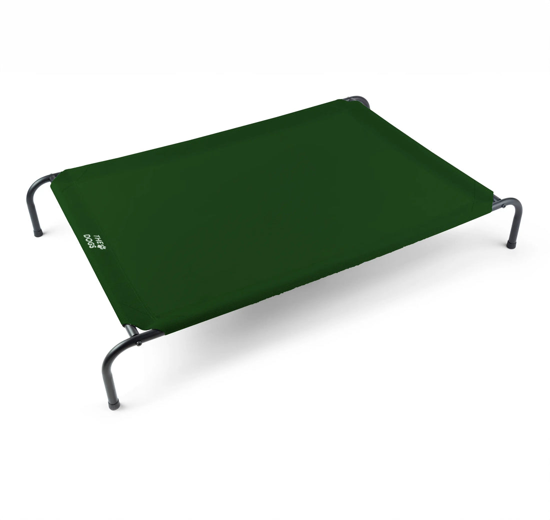 Cama Elevada THE DOGS: Frescura y Ventilación