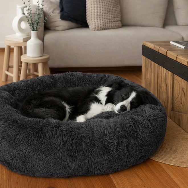 Cama Anti-Estrés THE DOGS — Menos ansiedad, más descanso