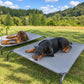 Cama Elevada THE DOGS