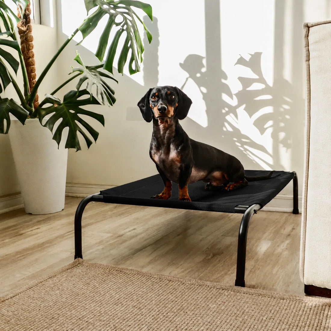 Cama Elevada THE DOGS