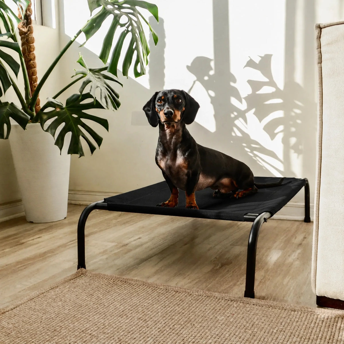 Cama Elevada THE DOGS