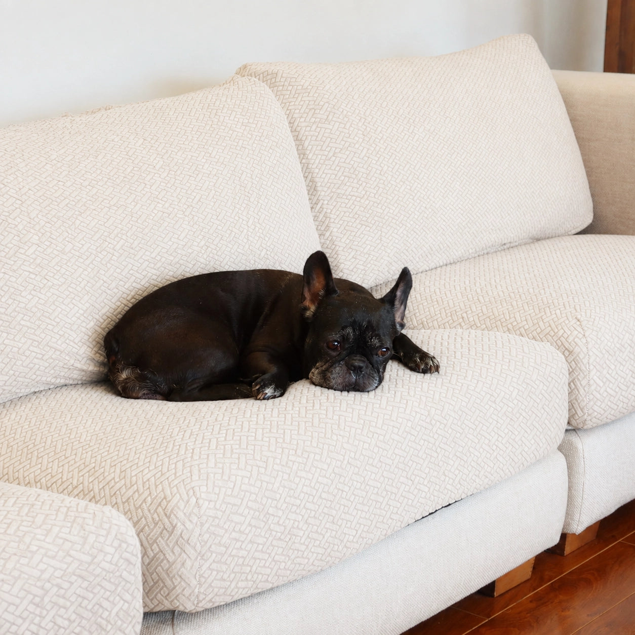 [td-color:crema] cubre sofa mascotas