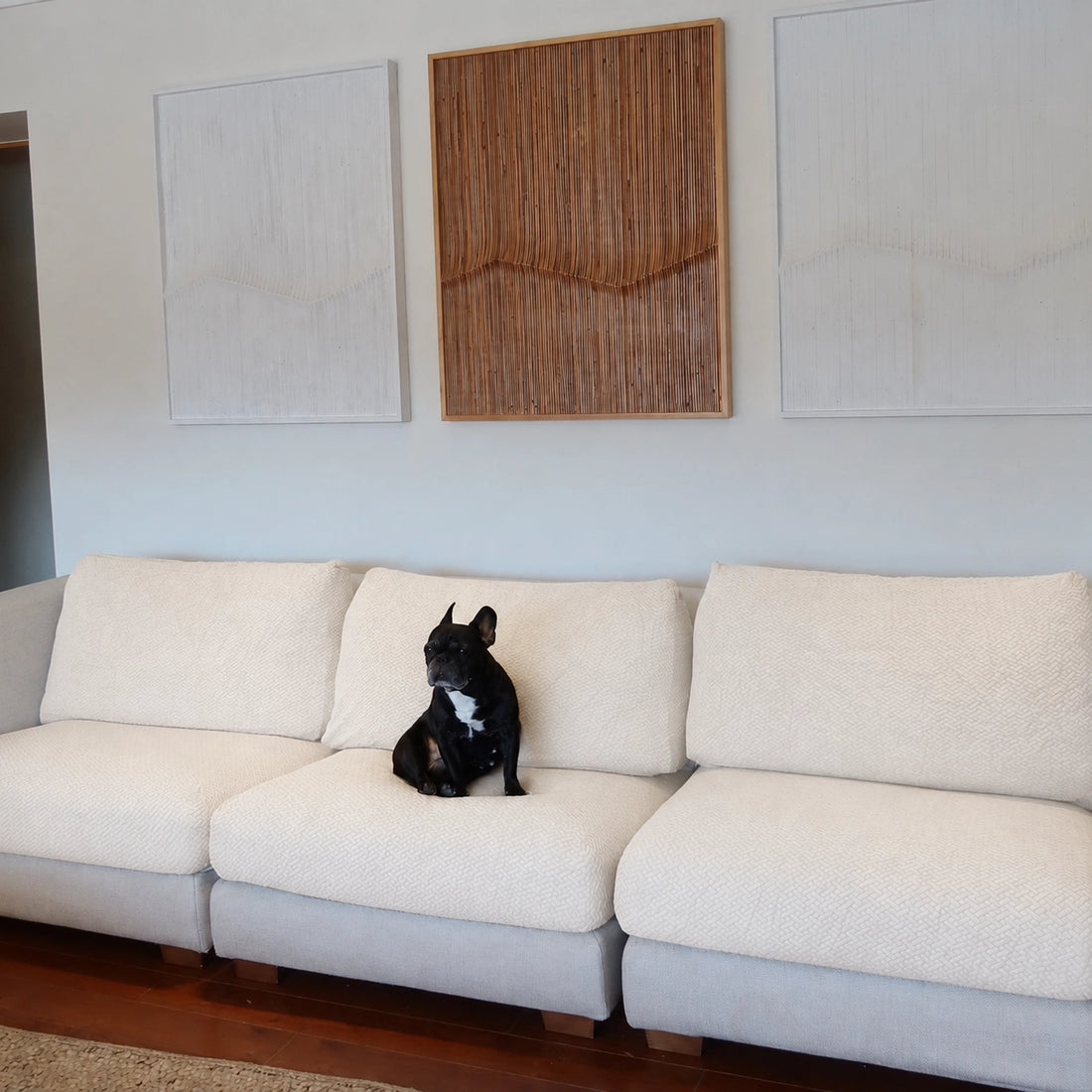 [td-color:crema] cubre sofa mascotas