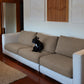 [td-color:caqui] funda de sofa perros