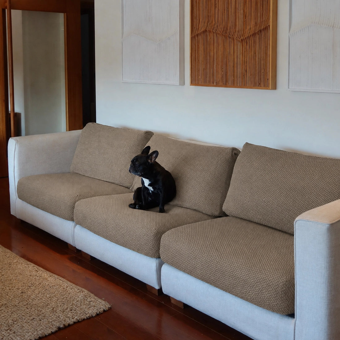 [td-color:caqui] funda de sofa perros