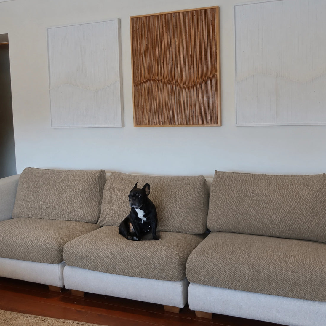 [td-color:caqui] funda de sofa mascotas