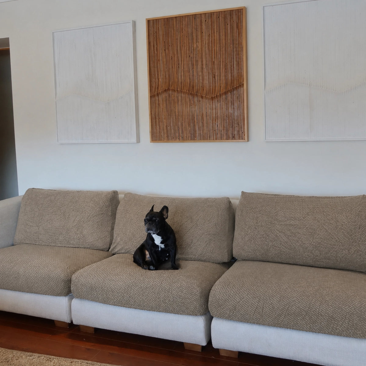 [td-color:caqui] funda de sofa mascotas