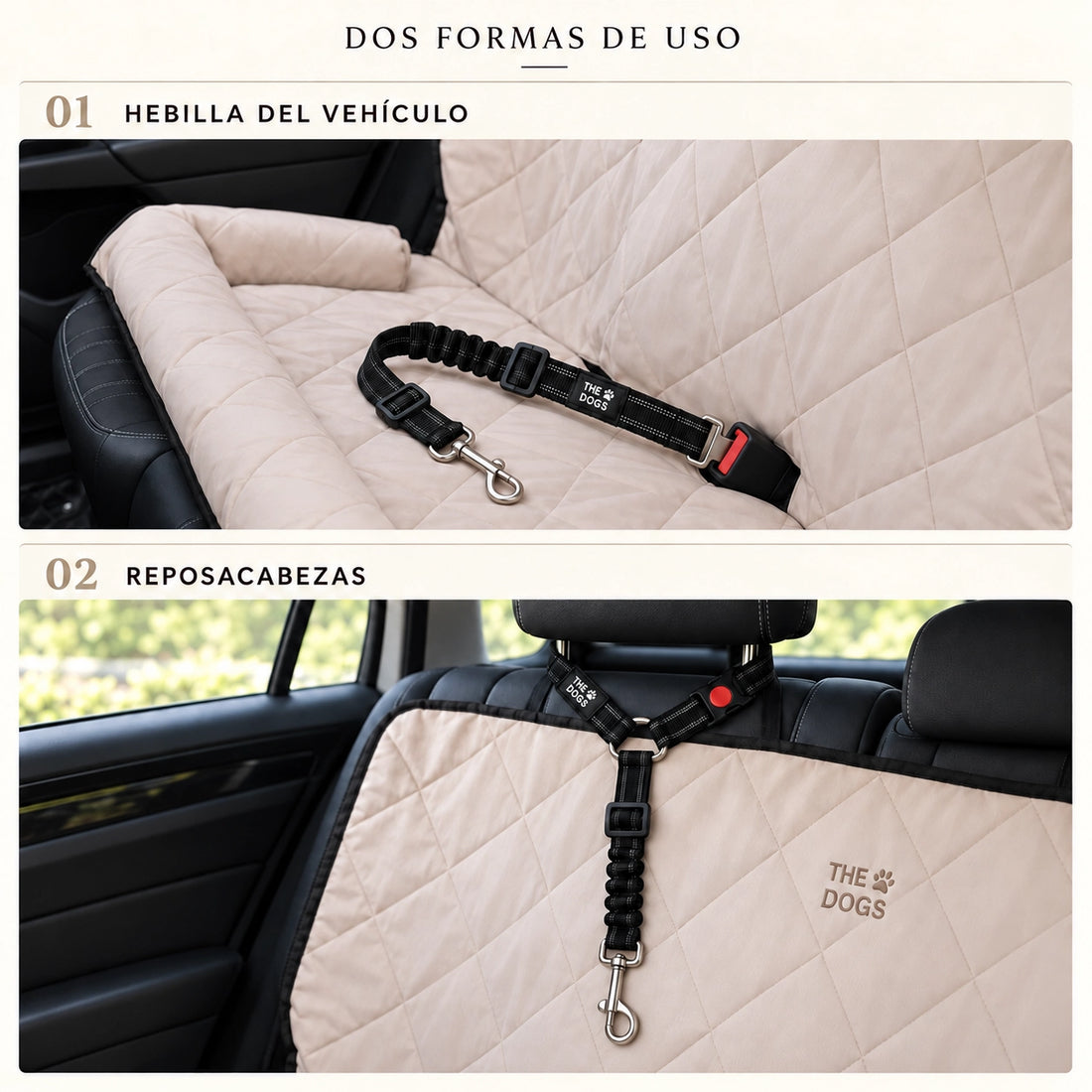 Nido XL + Cinturón Viajes Seguros