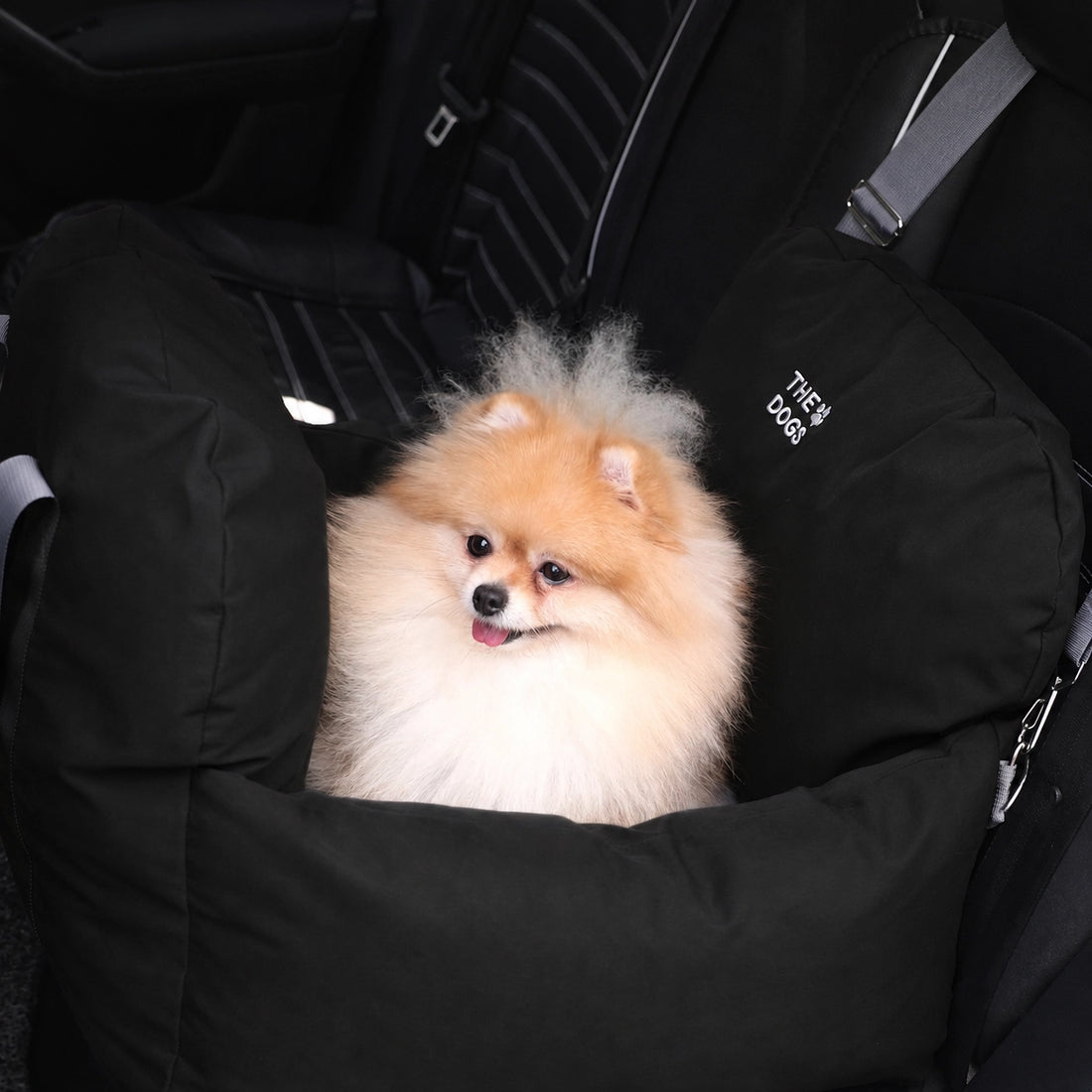 Asiento Primera Clase THE DOGS — Viajes seguros y cómodos