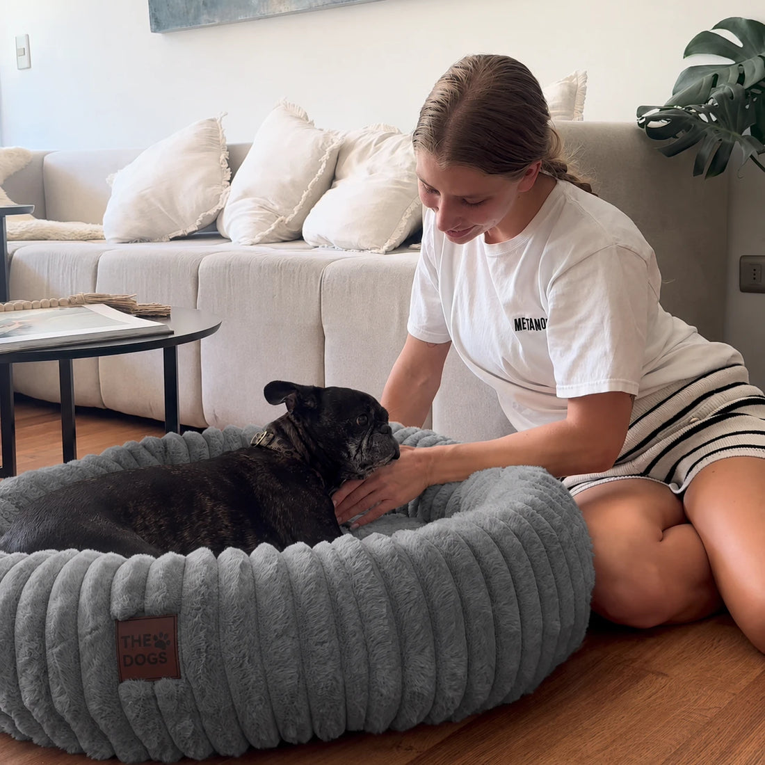 Luxury Edition: Cama Anti-Estrés THE DOGS