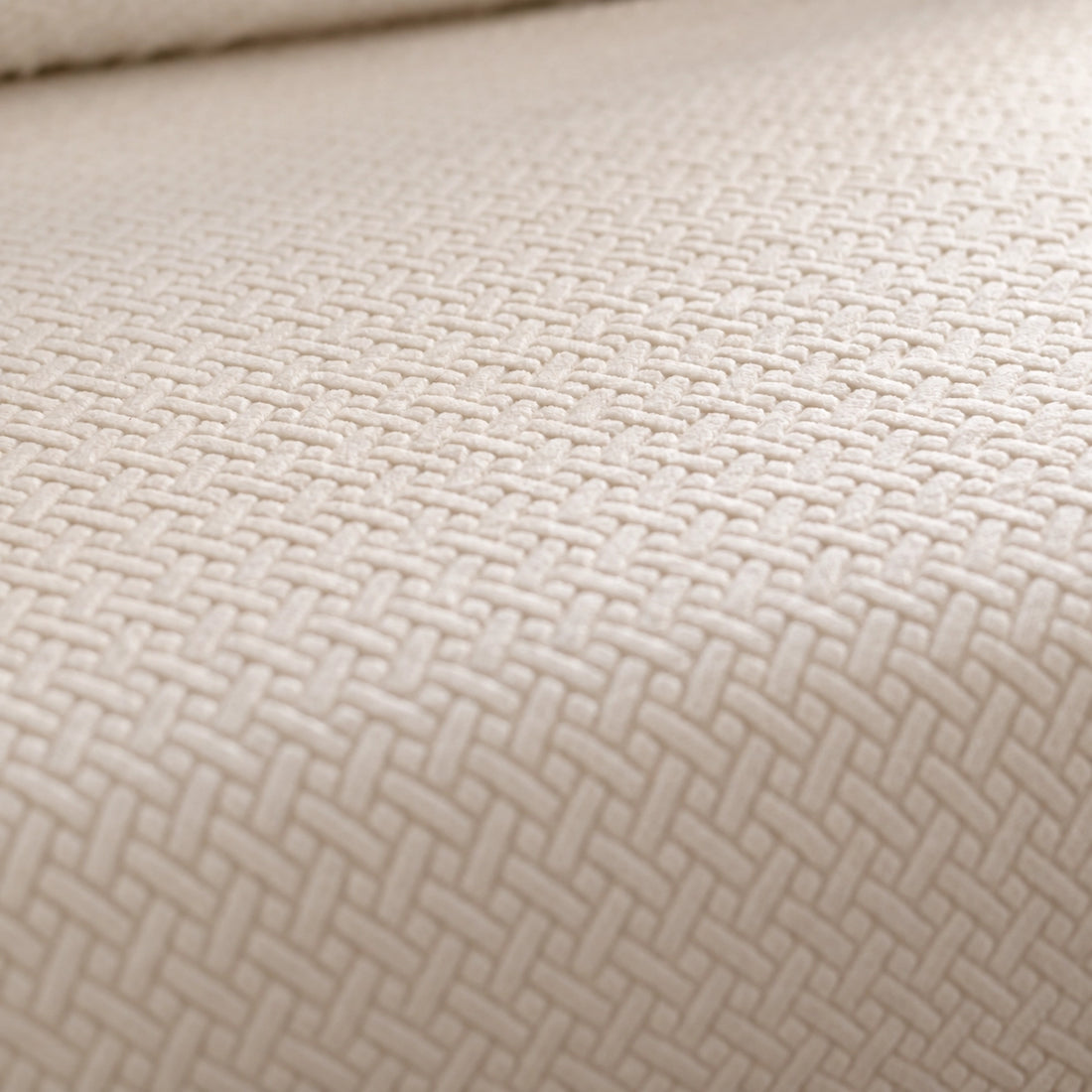 [td-color:crema] textura