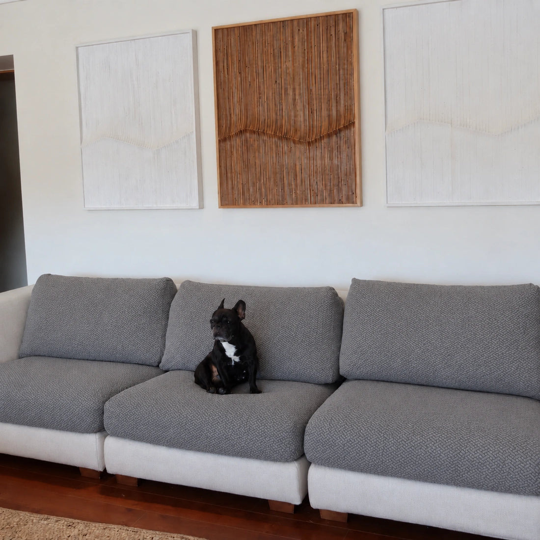 [td-color:gris-oscuro] fundas de asiento
