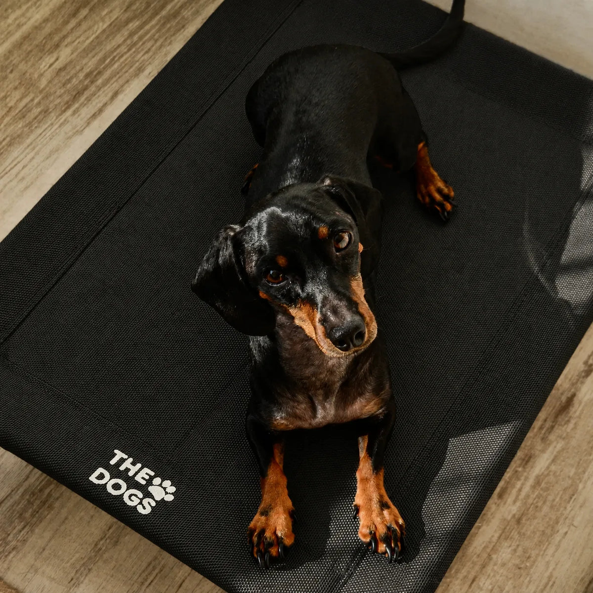 Cama Elevada THE DOGS