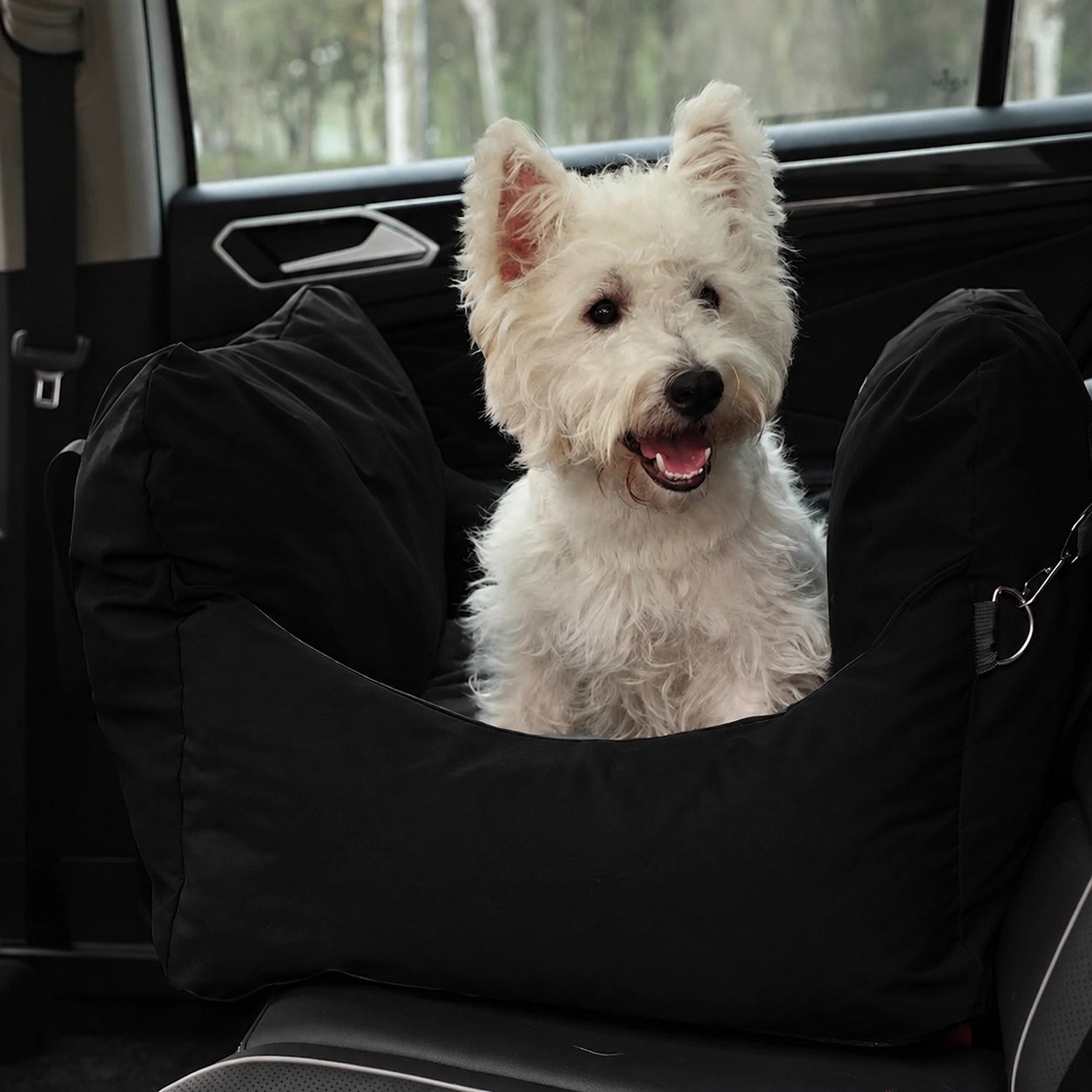 Asiento Primera Clase THE DOGS — Viajes seguros y cómodos