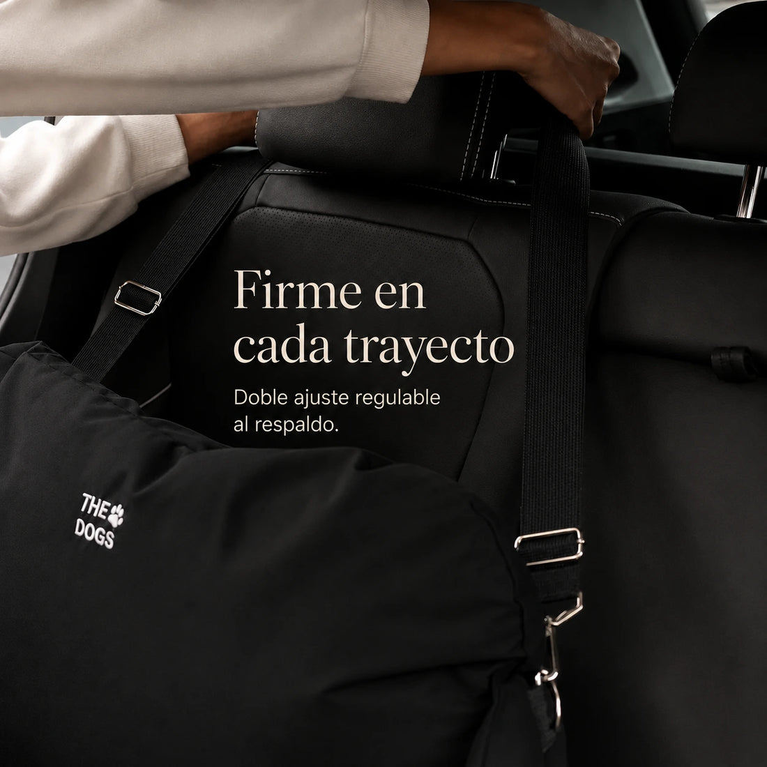 Asiento Primera Clase THE DOGS — Viajes seguros y cómodos