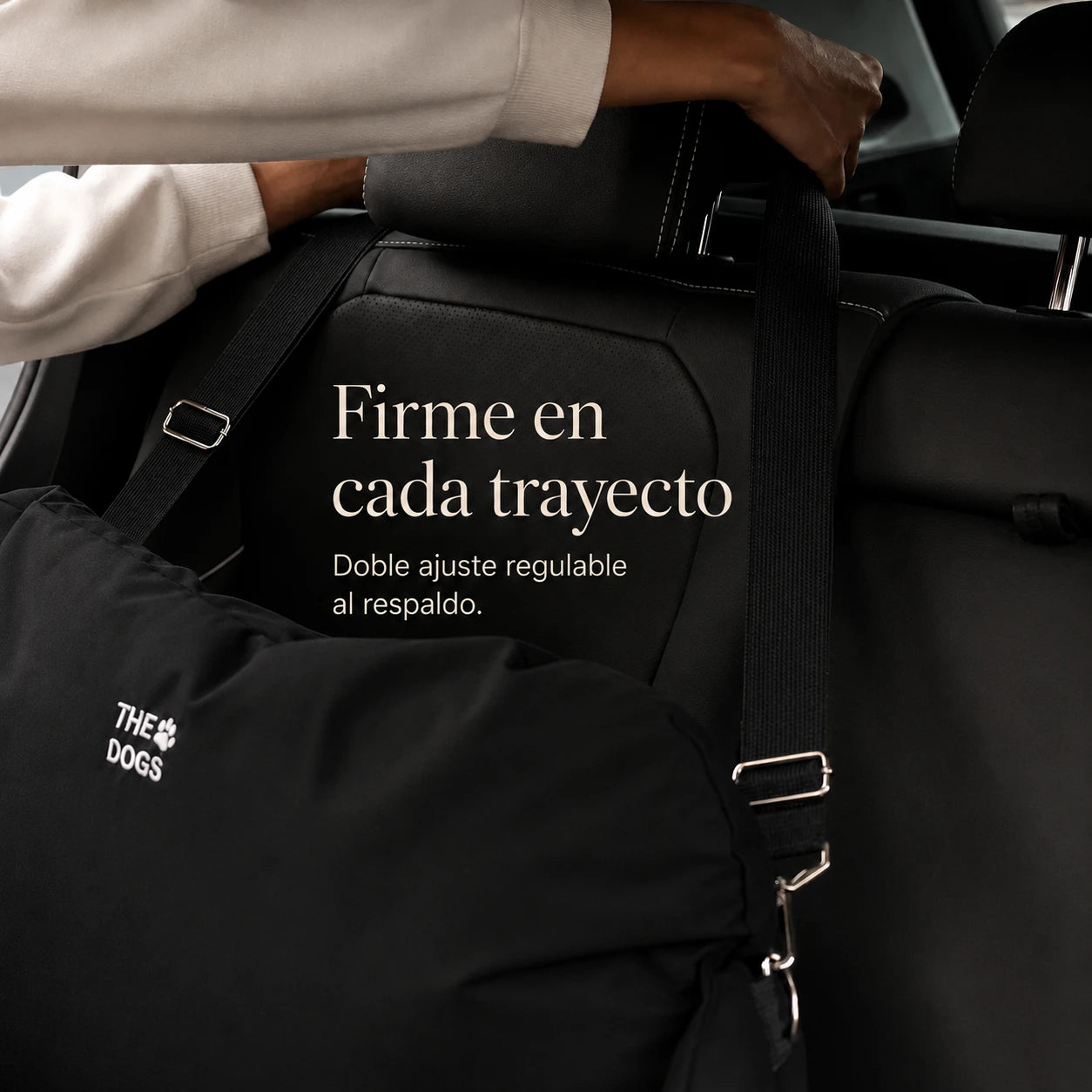 Asiento Primera Clase THE DOGS — Viajes seguros y cómodos