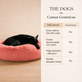 Cama Anti-Estrés THE DOGS — Menos ansiedad, más descanso