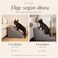 Rampa Pendiente Suave THE DOGS