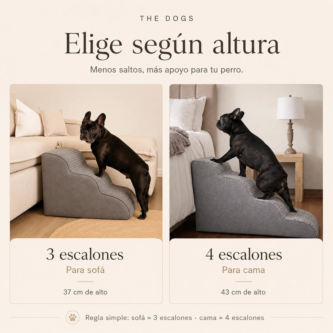 Rampa Pendiente Suave THE DOGS