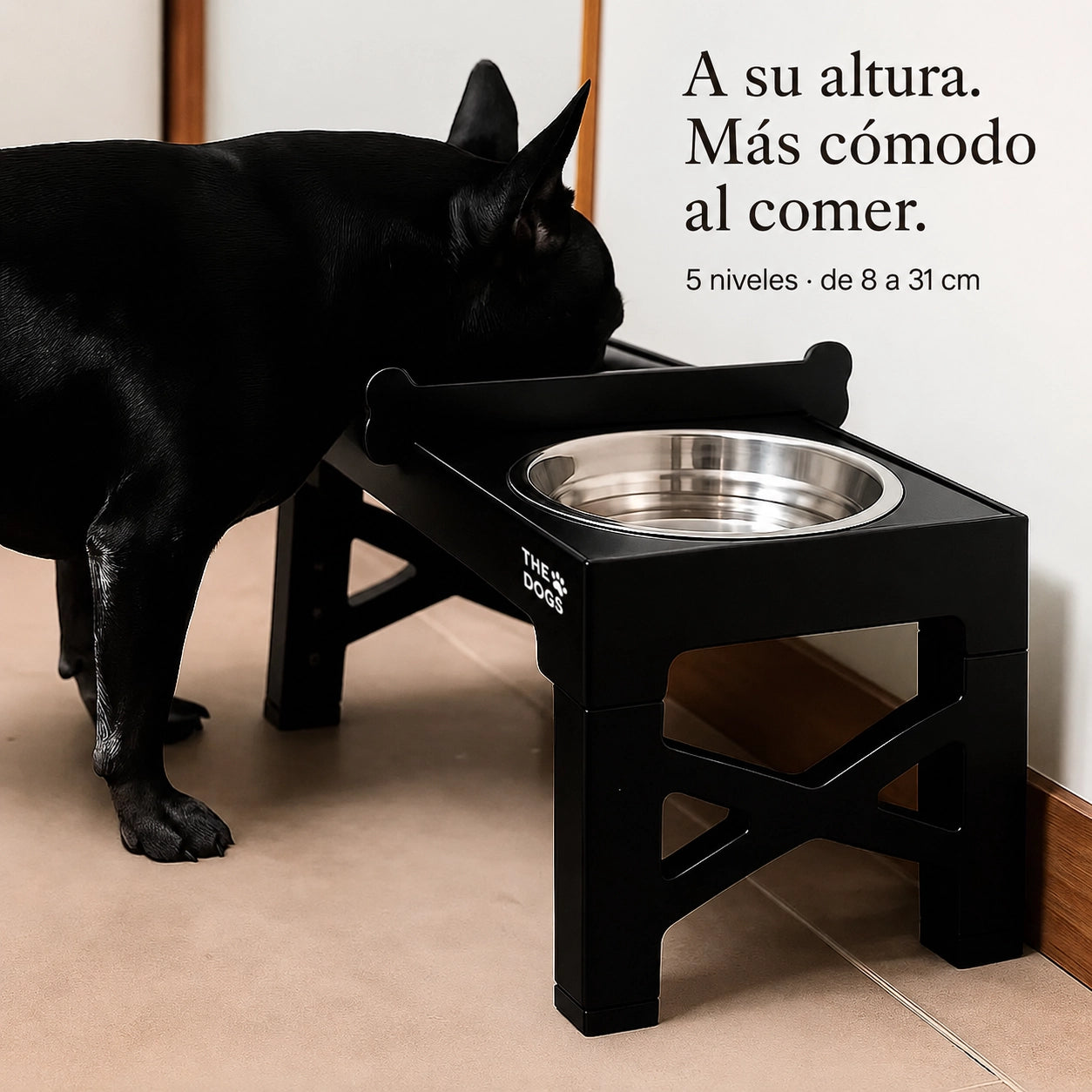 Comedero Elevado THE DOGS Postura correcta en cada comida