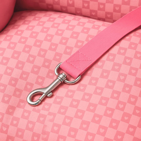 Asiento Primera Clase THE DOGS — Viajes seguros y cómodos