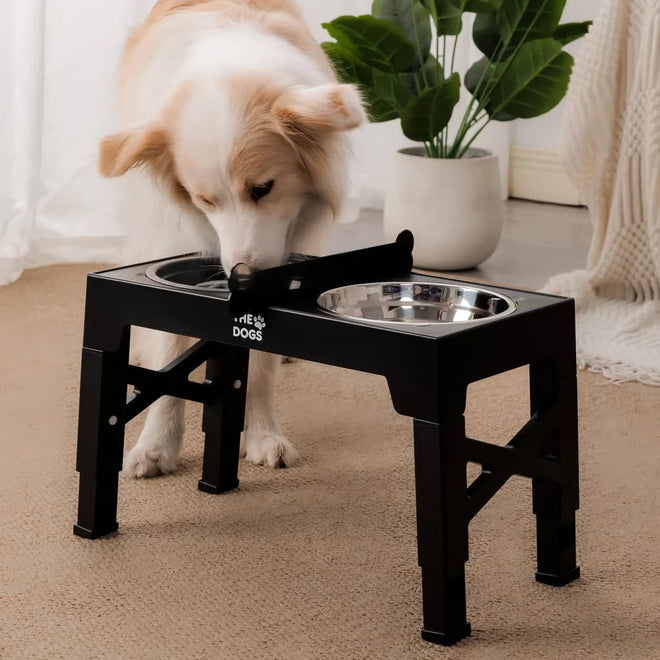Comedero elevado para Perros marca THE DOGS