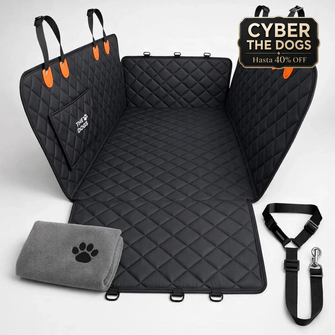 Kit auto limpio y perro seguro
