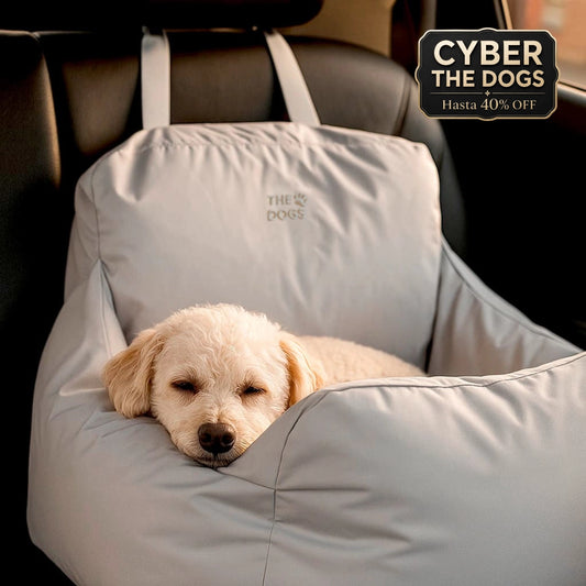 Asiento Primera Clase THE DOGS — Viajes seguros y cómodos