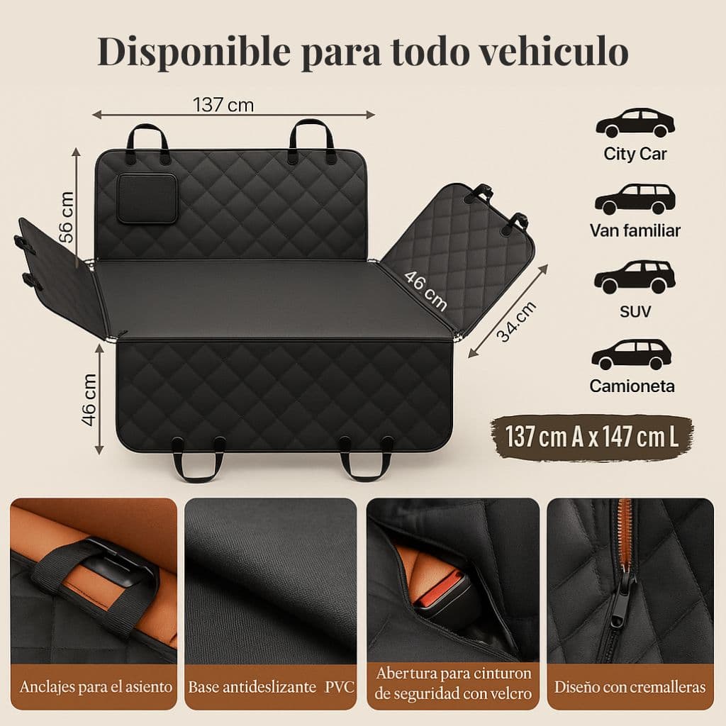 Kit auto limpio y perro seguro