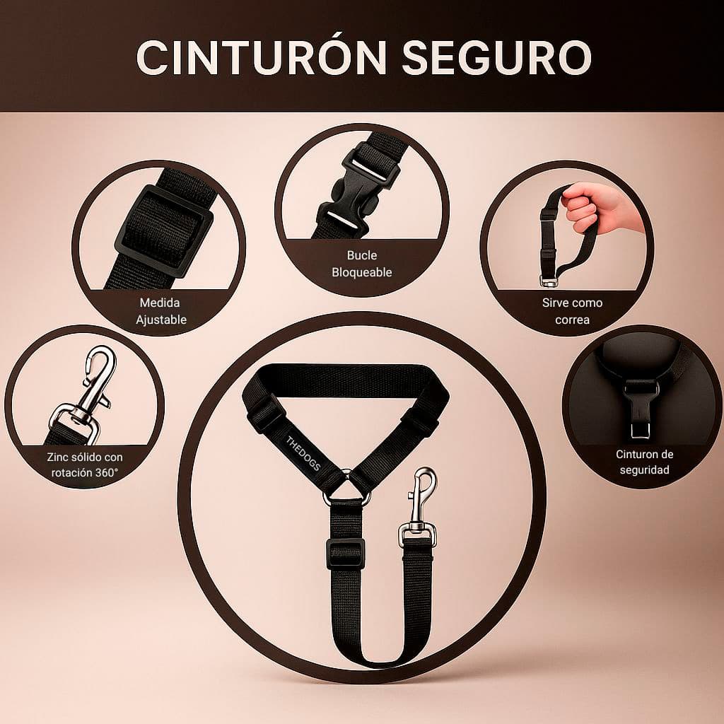 Cinturón Viajes Seguros