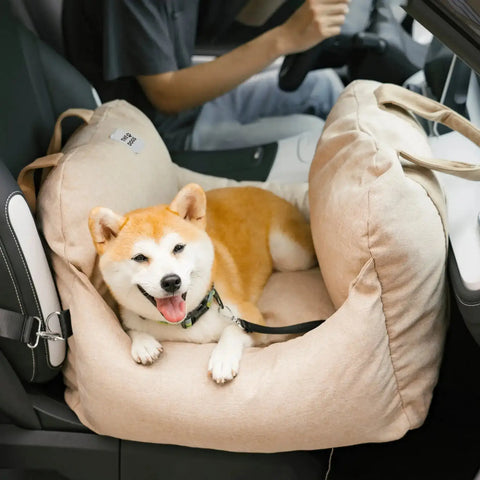 Asiento Primera Clase TheDogs - THE DOGS CHILE