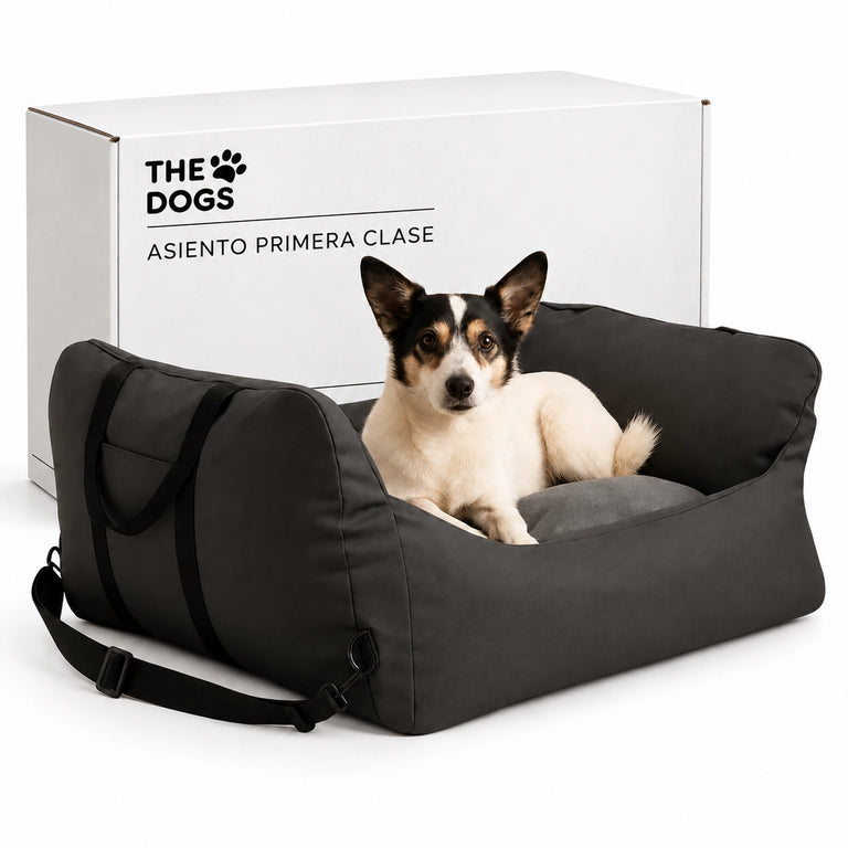 Asiento Primera Clase THE DOGS — Viajes seguros y cómodos