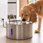 Aquaflow THE DOGS — Agua siempre limpia y fresca