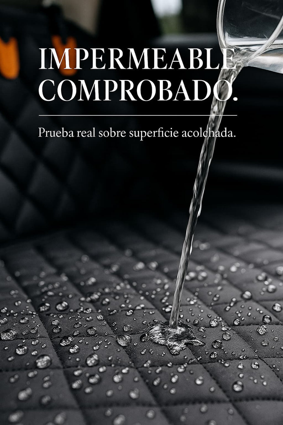 Prueba de impermeabilidad de la funda para auto THE DOGS
