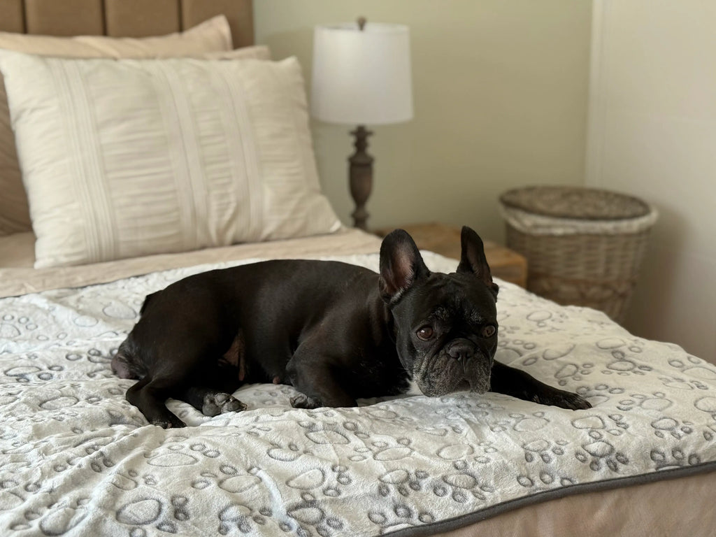 Manta suave: Extra comodidad