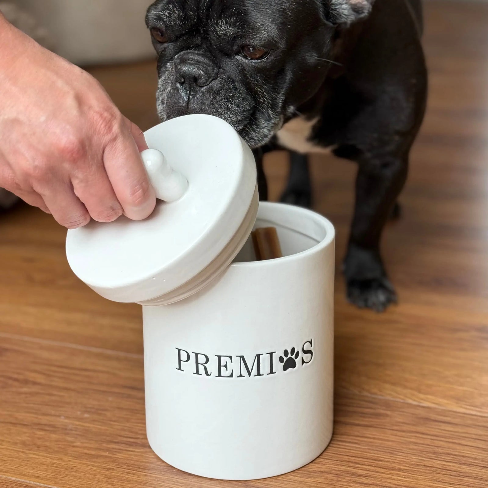 Frasco Hermético para Premios — Cerámica premium