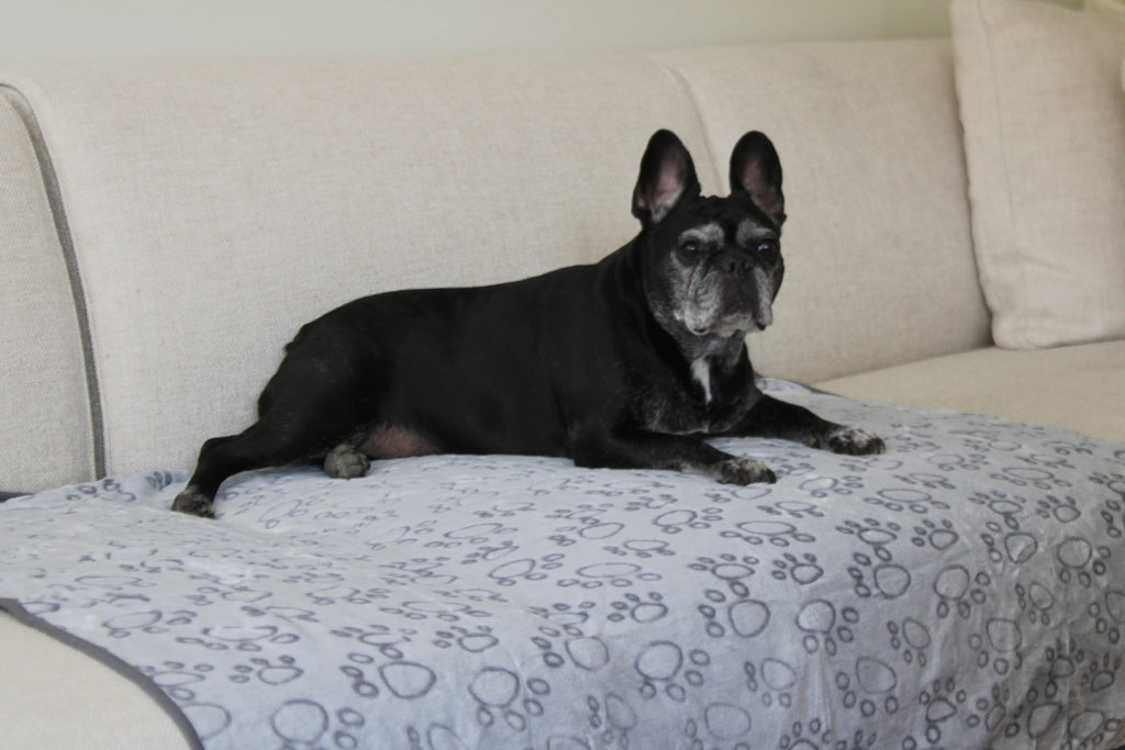 Manta suave: Extra comodidad