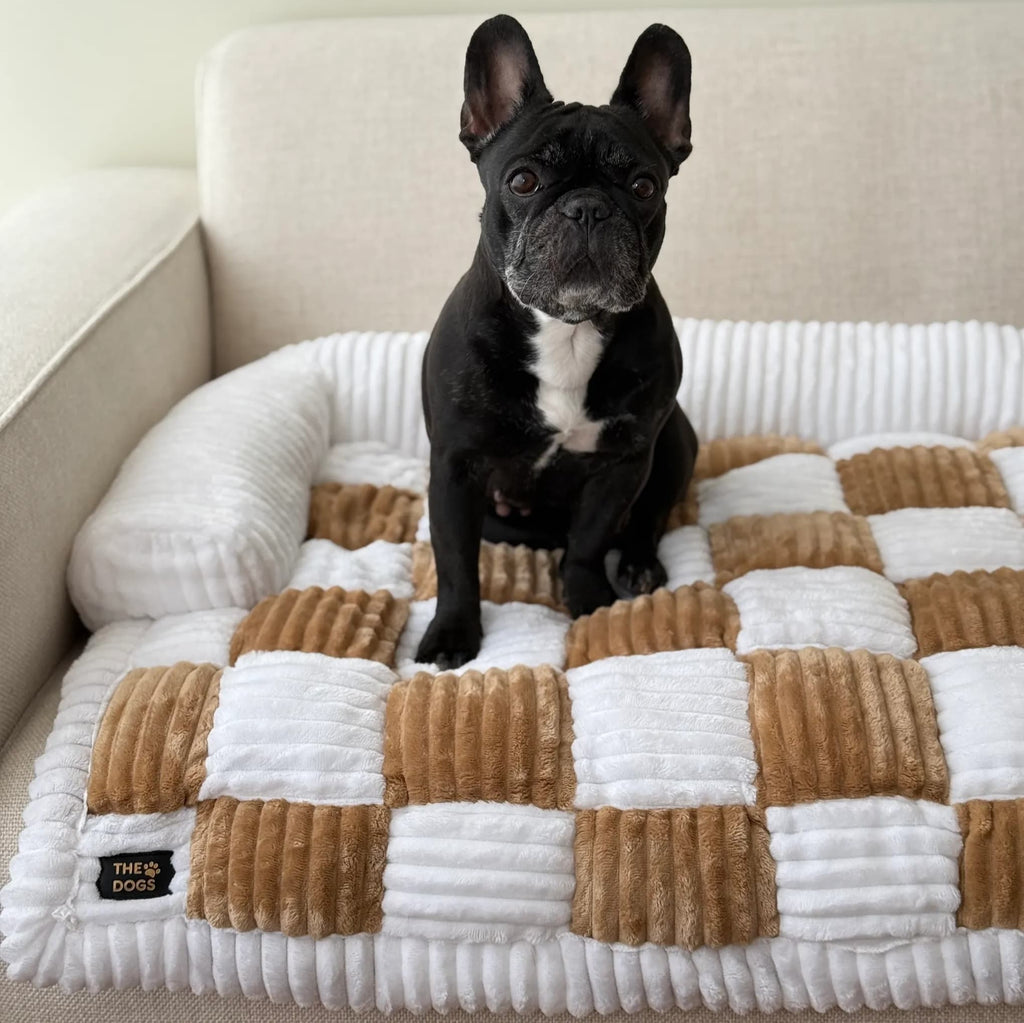 Camita de Sillón Signature — Sofá impecable, regalón feliz