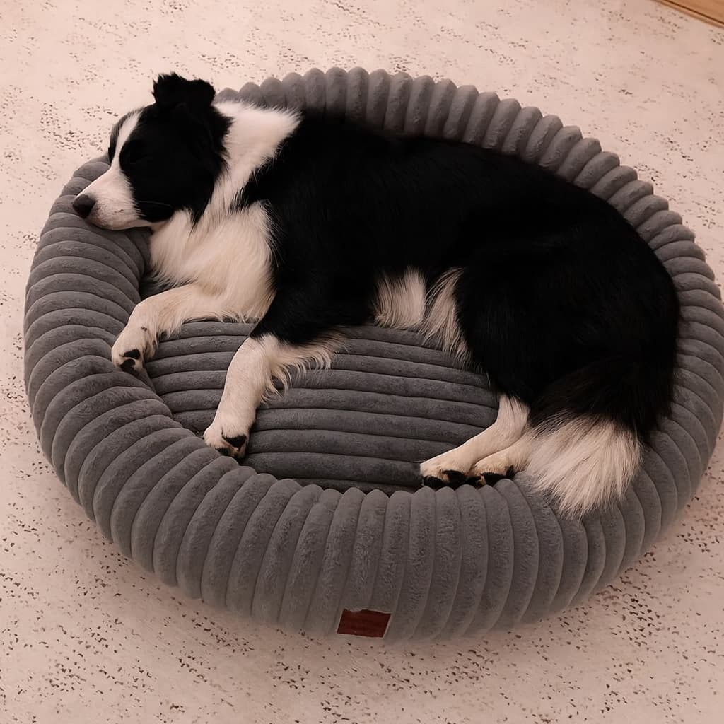 Luxury Edition: Cama Anti-Estrés THE DOGS