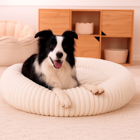 Luxury Edition: Cama Anti-Estrés THE DOGS