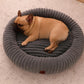 Luxury Edition: Cama Anti-Estrés THE DOGS
