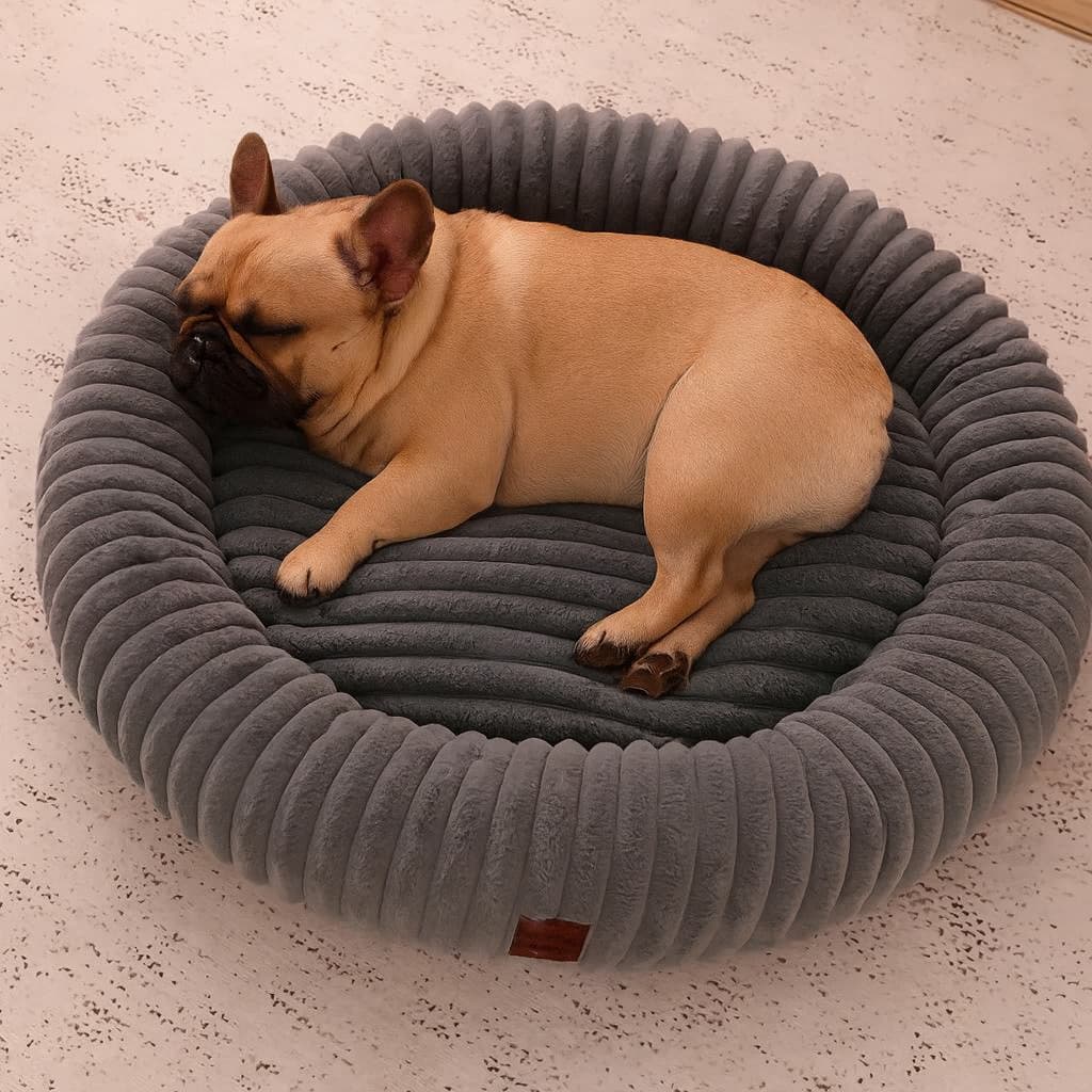 Luxury Edition: Cama Anti-Estrés THE DOGS