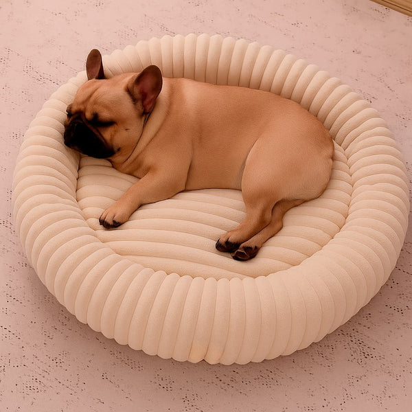 Luxury Edition: Cama Anti-Estrés THE DOGS