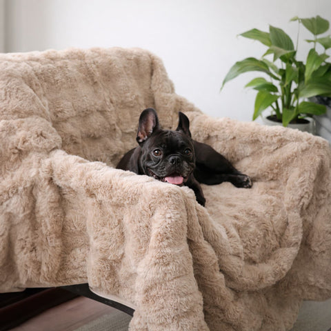 Cubre Sofá Piel de Conejo — Lujo suave que protege tu sofá.