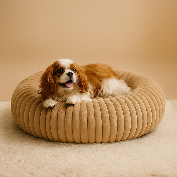 Luxury Edition: Cama Anti-Estrés THE DOGS