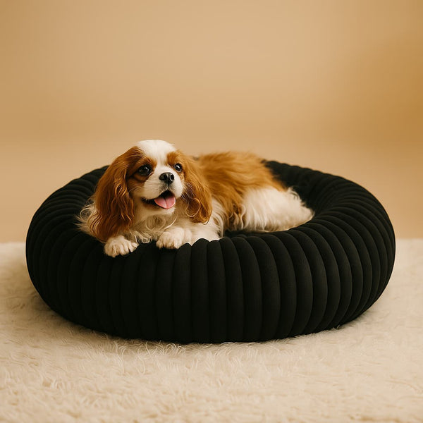 Luxury Edition: Cama Anti-Estrés THE DOGS